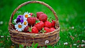 ягоды, клубника, цветы