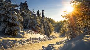 зима, снег, лес, закат, дорога, зимний лес