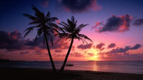 пальмы, море, закат, облака