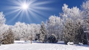 зима, солнце, снег, лес, зимний лес