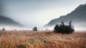 поле, трава, туман, горы