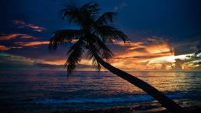 пальмы, море, закат, небо