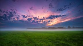 поле, трава, туман, небо