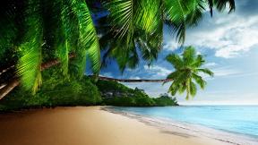 пальмы, море, пляж
