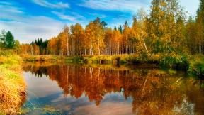 осень, лес, озеро, отражение