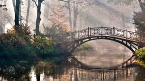 мост, озеро, лес, туман