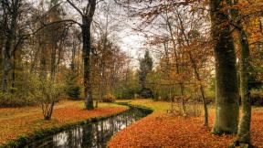 осень, река, листья