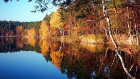 осень, озеро, лес, отражение