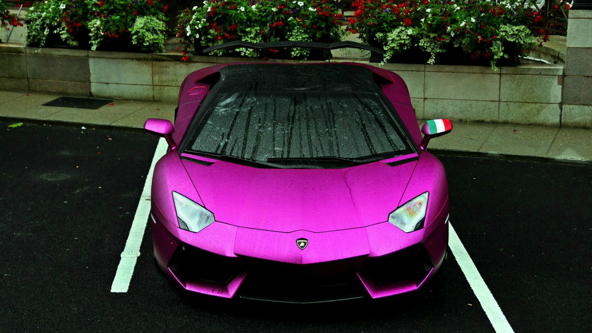 Lamborghini Aventador lp700 розовый