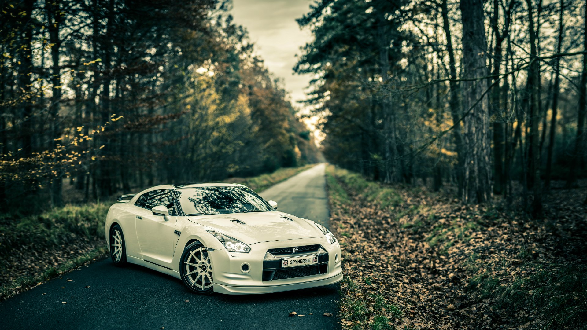 Nissan GTR r35 в лесу