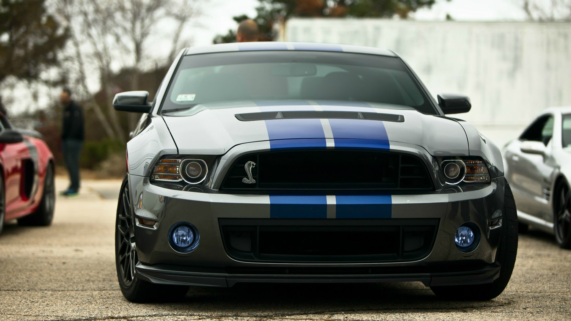 Shelby gt500 значок