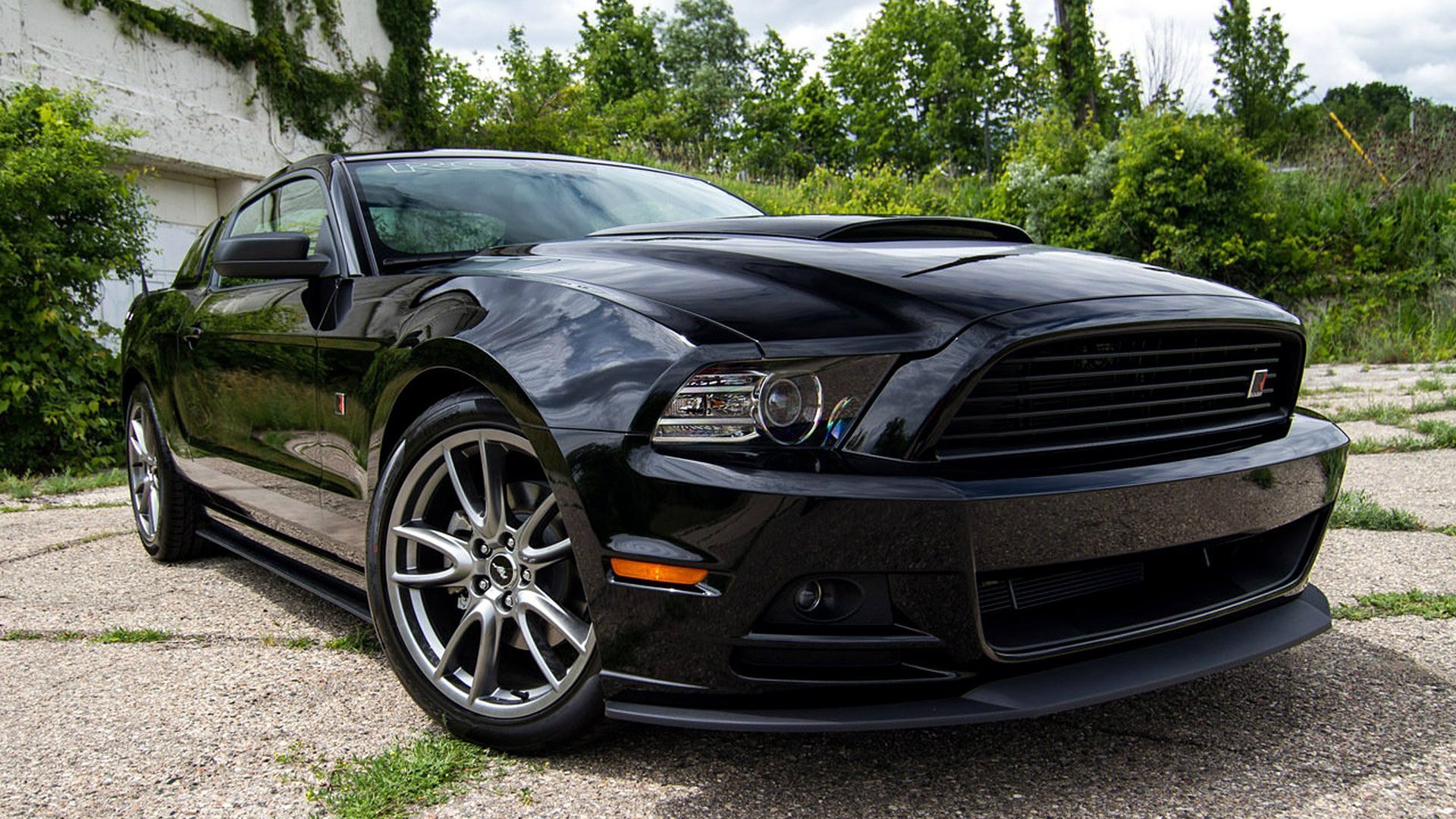 Ford Mustang Roush 2013