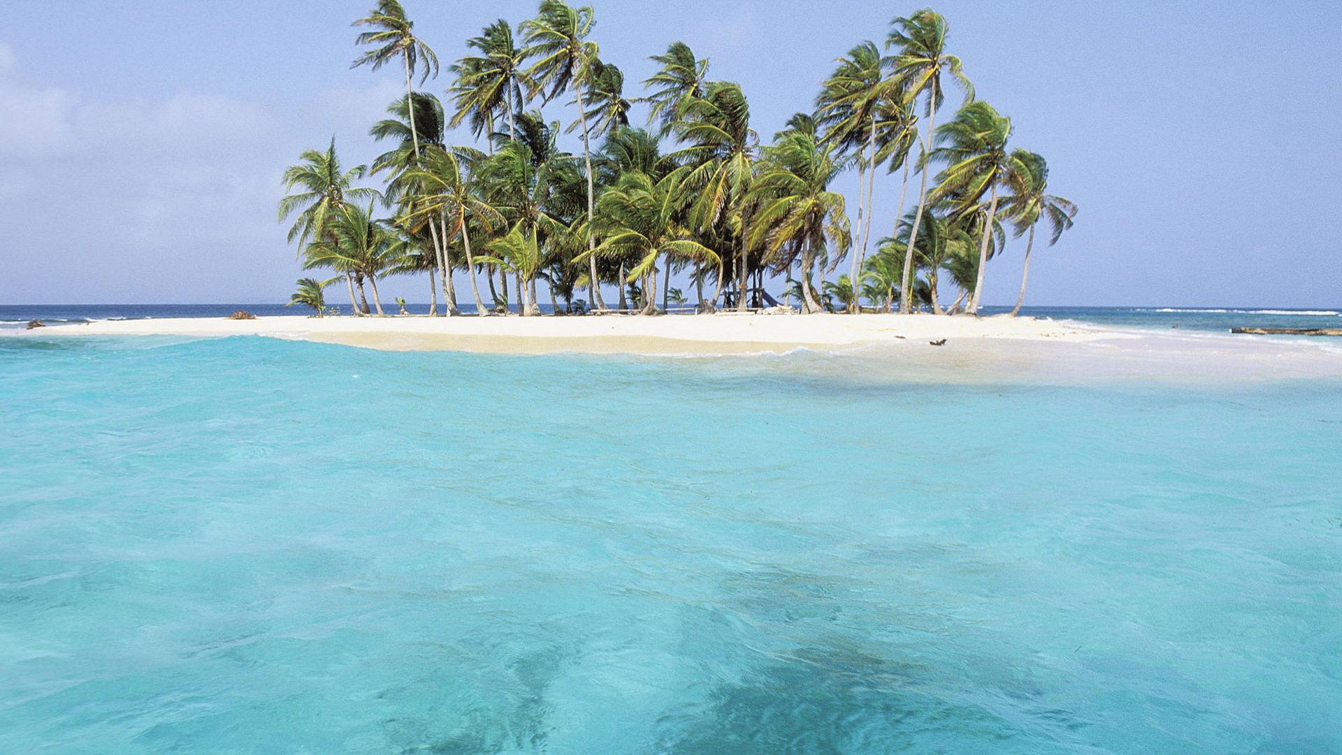 Природа Вид на остров с пальмами с лазурного моря