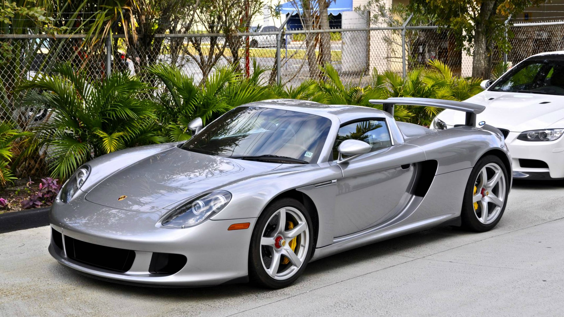 Фото porsche carrera gt