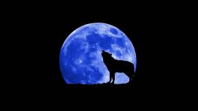 волк, Луна