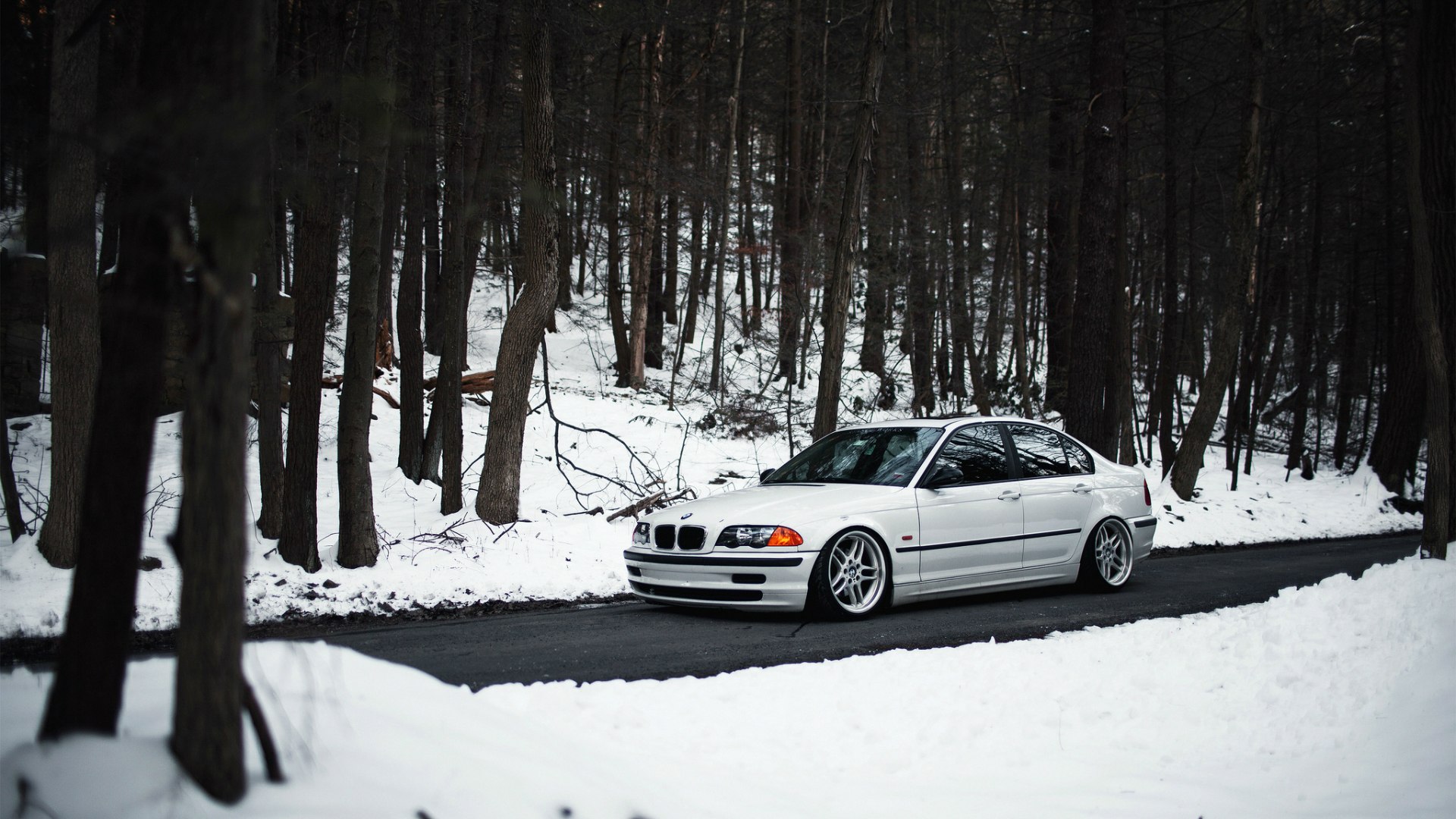 Е зим. BMW e39 Winter. BMW e46 White Alpina. BMW зимой e46. БМВ е39 белая.