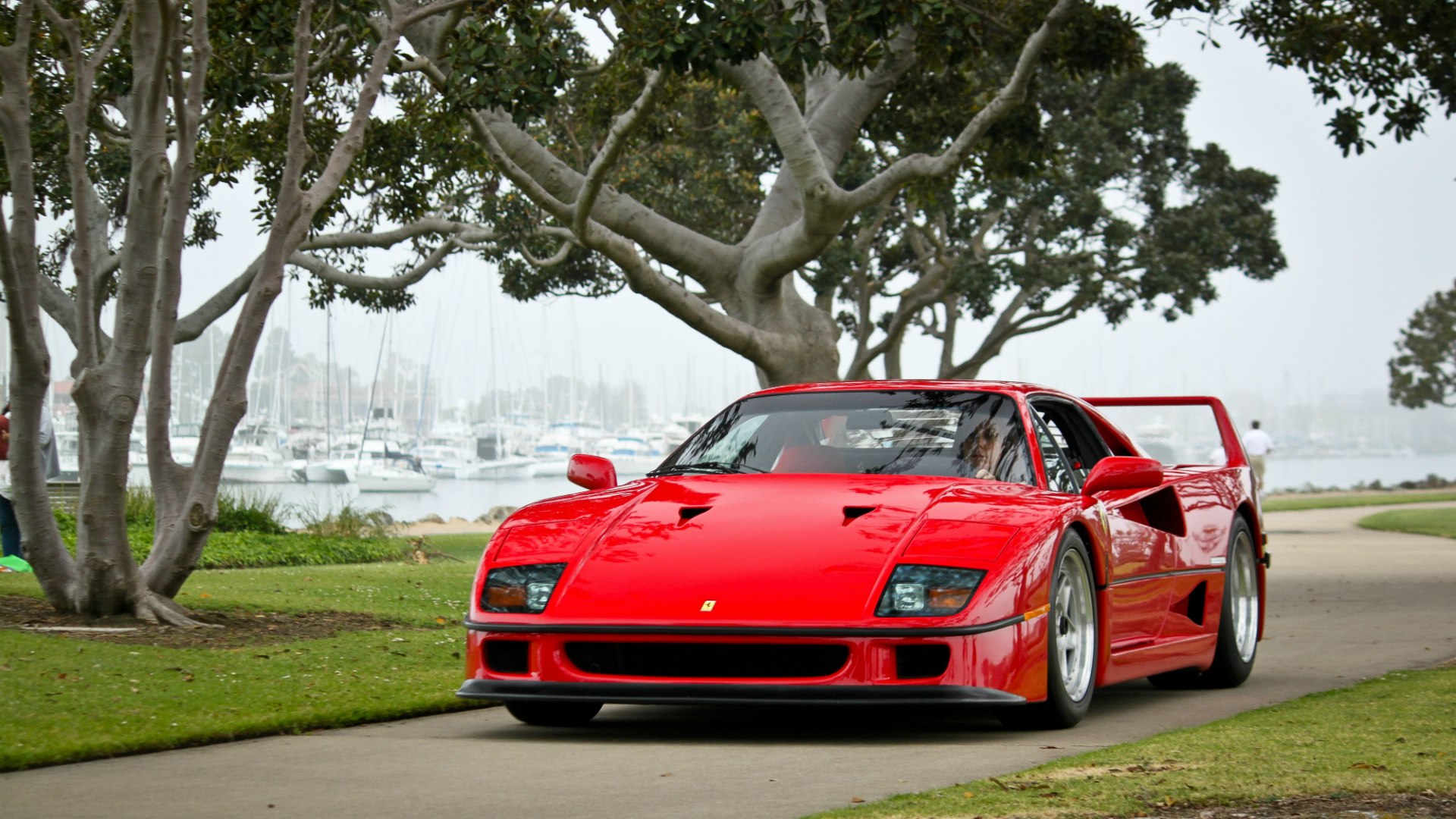 Ferrari f40 зеленая