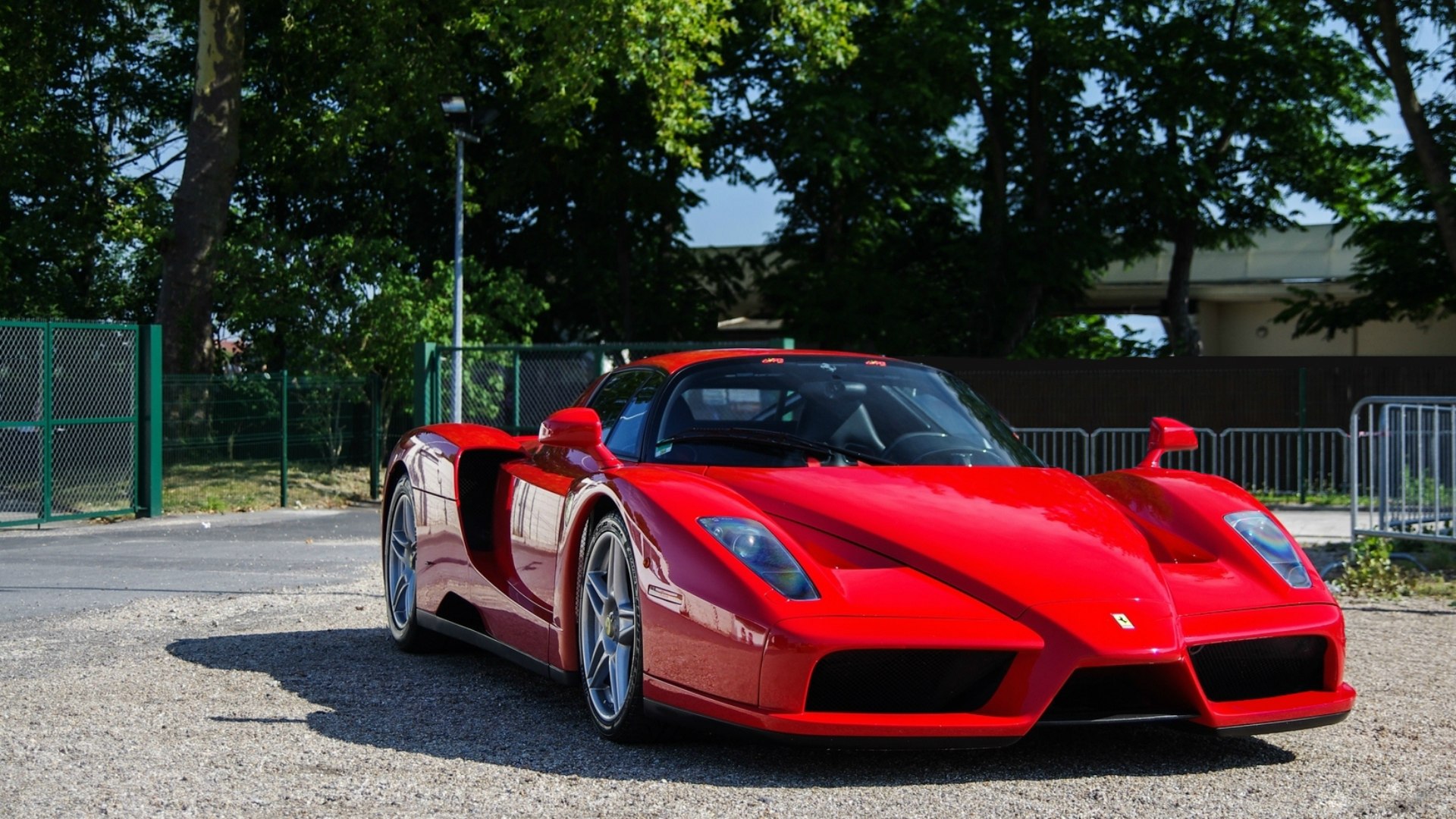 Ferrari Enzo Wallpaper