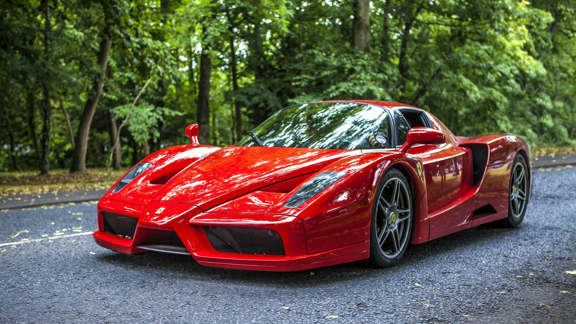 Ferrari Enzo Wallpaper