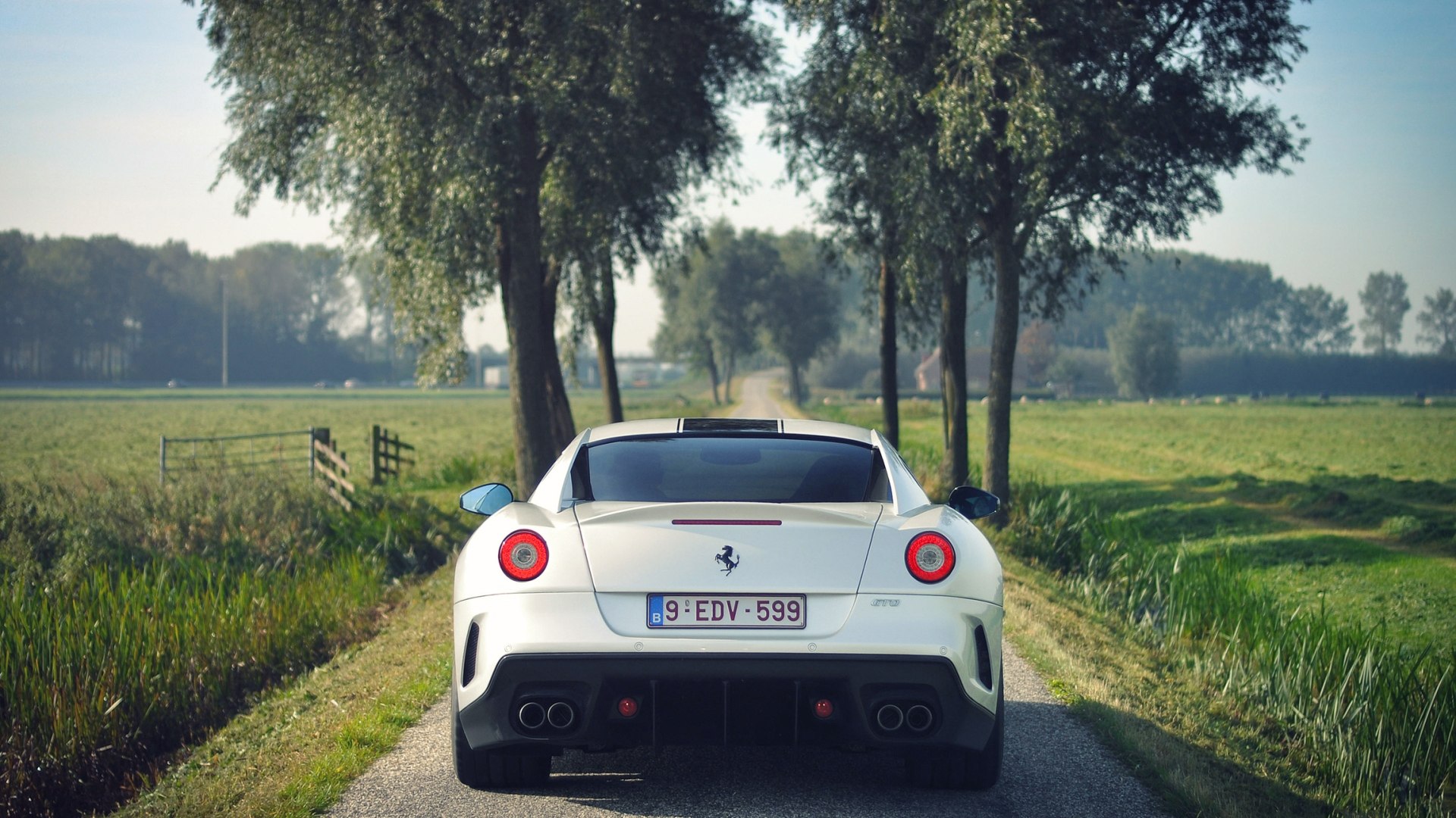 Ferrari 599 GTO РѕР±РѕРё