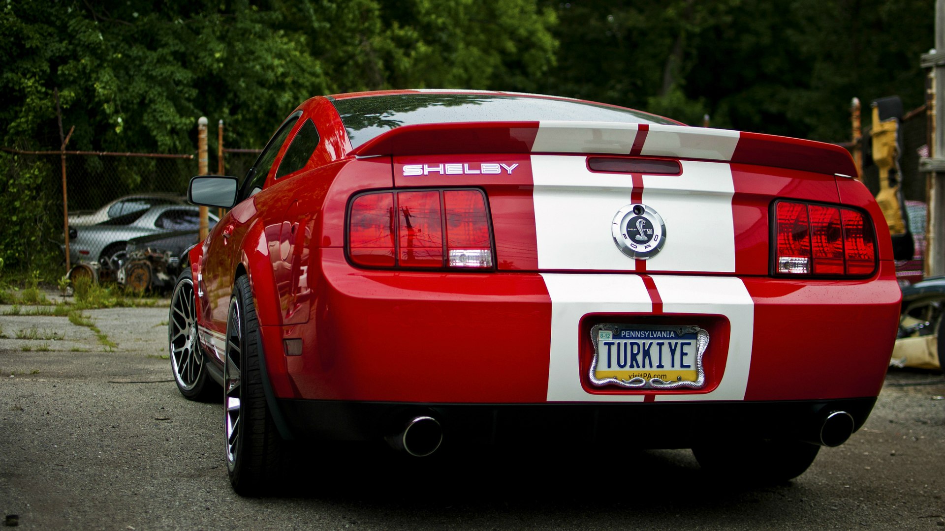 Ford Mustang gt сзади