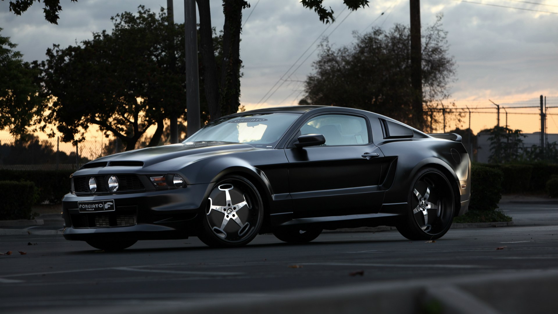 cute-picture-of-black-mustang-gt-girl-snake