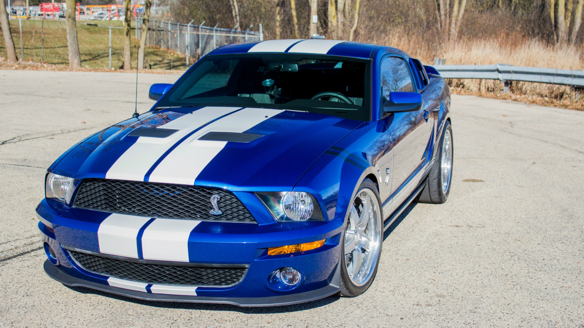 Форд мустанг синий. Ford Mustang Shelby gt500 2014. Ford Mustang Shelby gt500 оранжевый. Форд Мустанг gt 500 девушка.