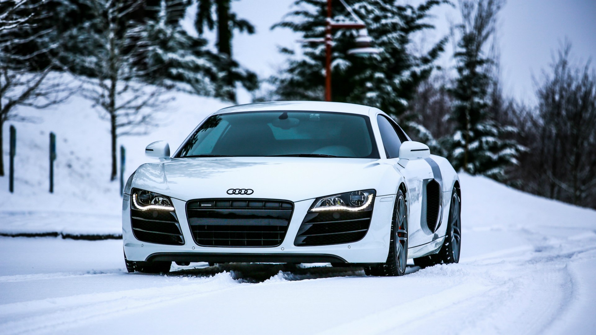 Audi r8 White HD