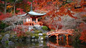 Япония, озеро, осень, мост