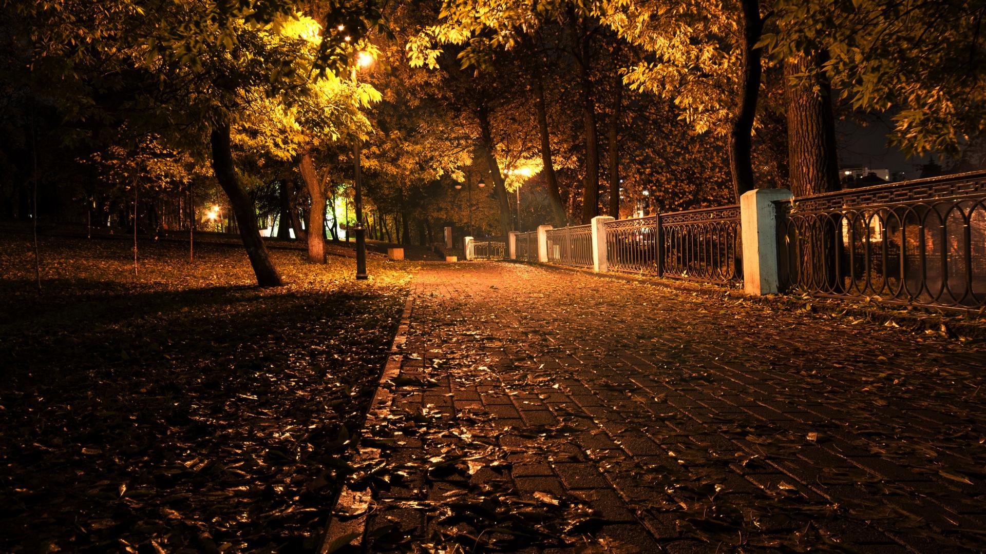 Темным осенним вечером. Осенний город. Осень в городе. Осень парк. Осенняя улица.