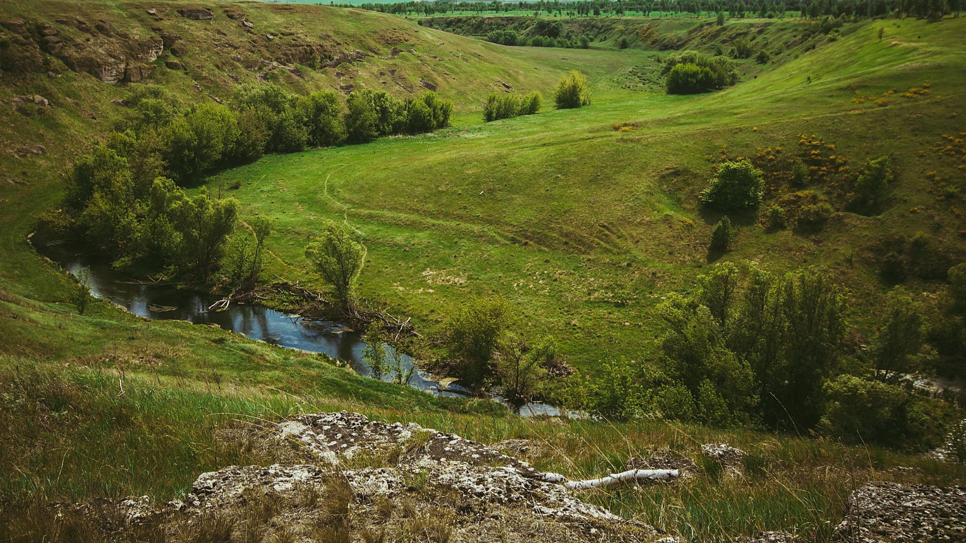 Аргамач пальна