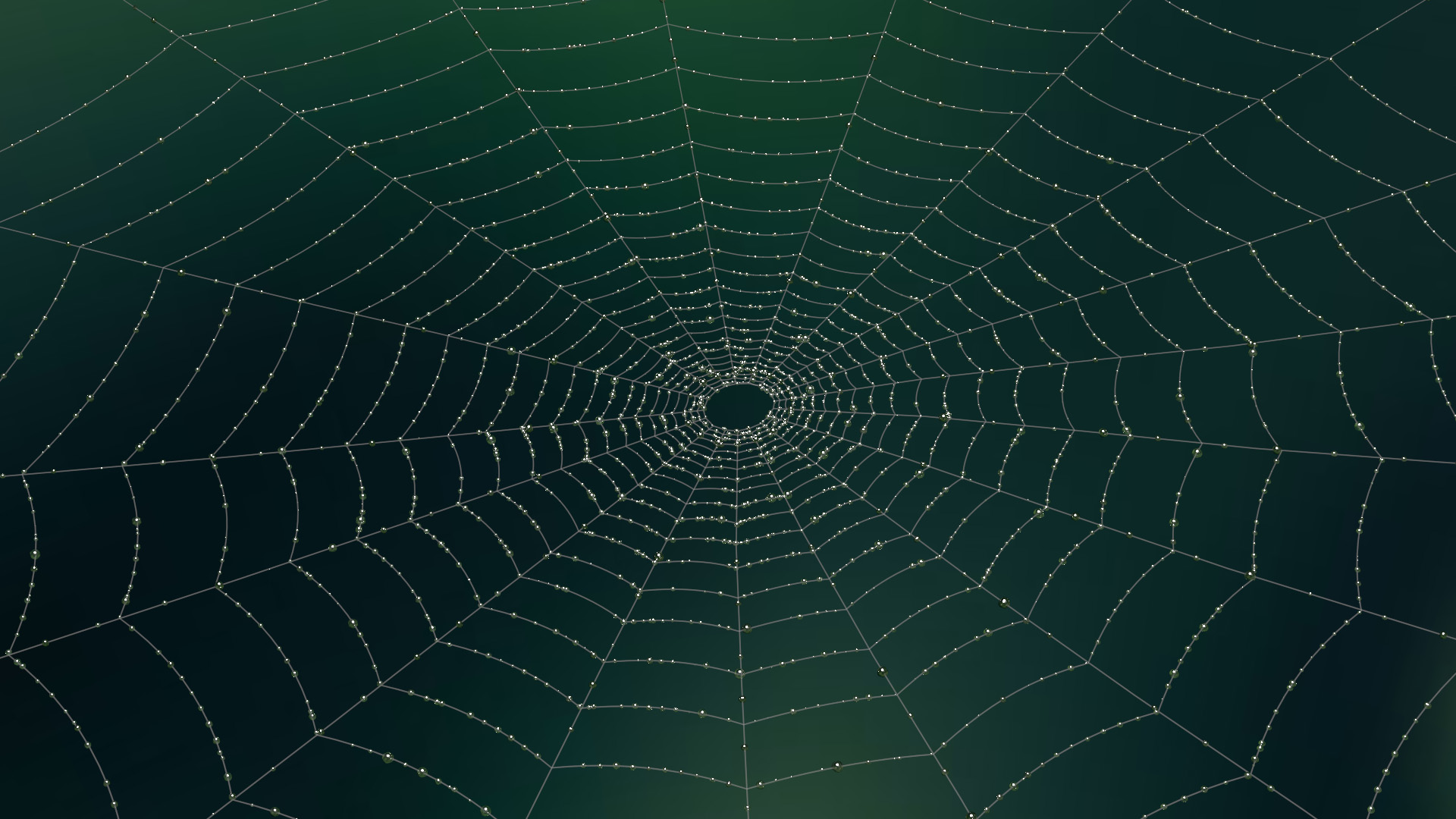 Spider web. Паутина паука эпейра. Паутинная сеть паука. Паутина симметрия. Красивая паутина.