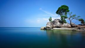 море, скалы, дерево