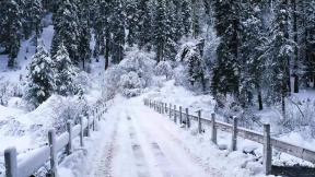 зима, снегопад, лес, дорога, снег, зимний лес
