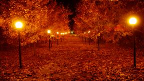 осень, листья, вечер, фонарь