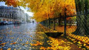 осень, листья, дождь, зонт