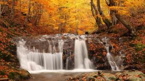 осень, листья, водопад, лес