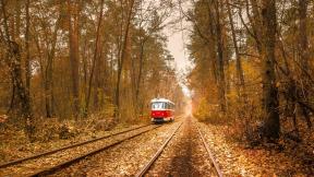 осень, листья, трамвай, рельсы