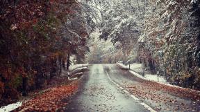 осень, снег, первый снег, дорога, лес