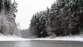 зима, снег, лес, река, зимний лес