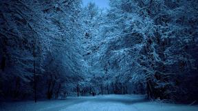 зима, снег, лес, вечер, зимний лес