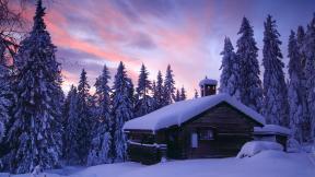 зима, снег, лес, дом, зимний лес