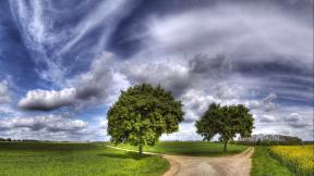 небо, облака, дорога, дерево