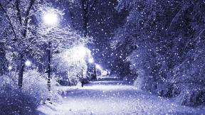 зима, снег, лес, снегопад, фонарь