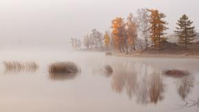 осень, озеро, туман
