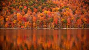 осень, озеро, лес, отражение