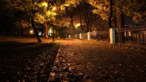 осень, листья, фонарь, вечер