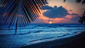 море, волны, пальмы, закат