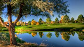 осень, дерево, озеро, отражение