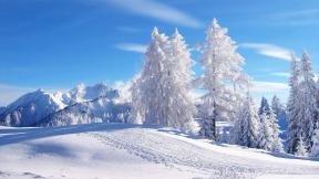 зима, горы, снег, лес, зимний лес